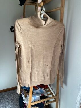 J. Crew Merino Wool Turtleneck